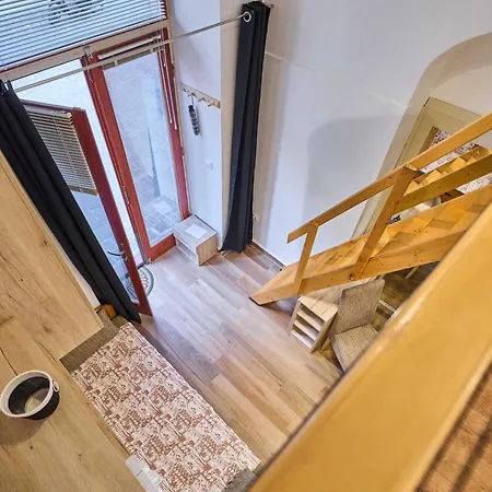 Garzonka Gallery Nest Πετς